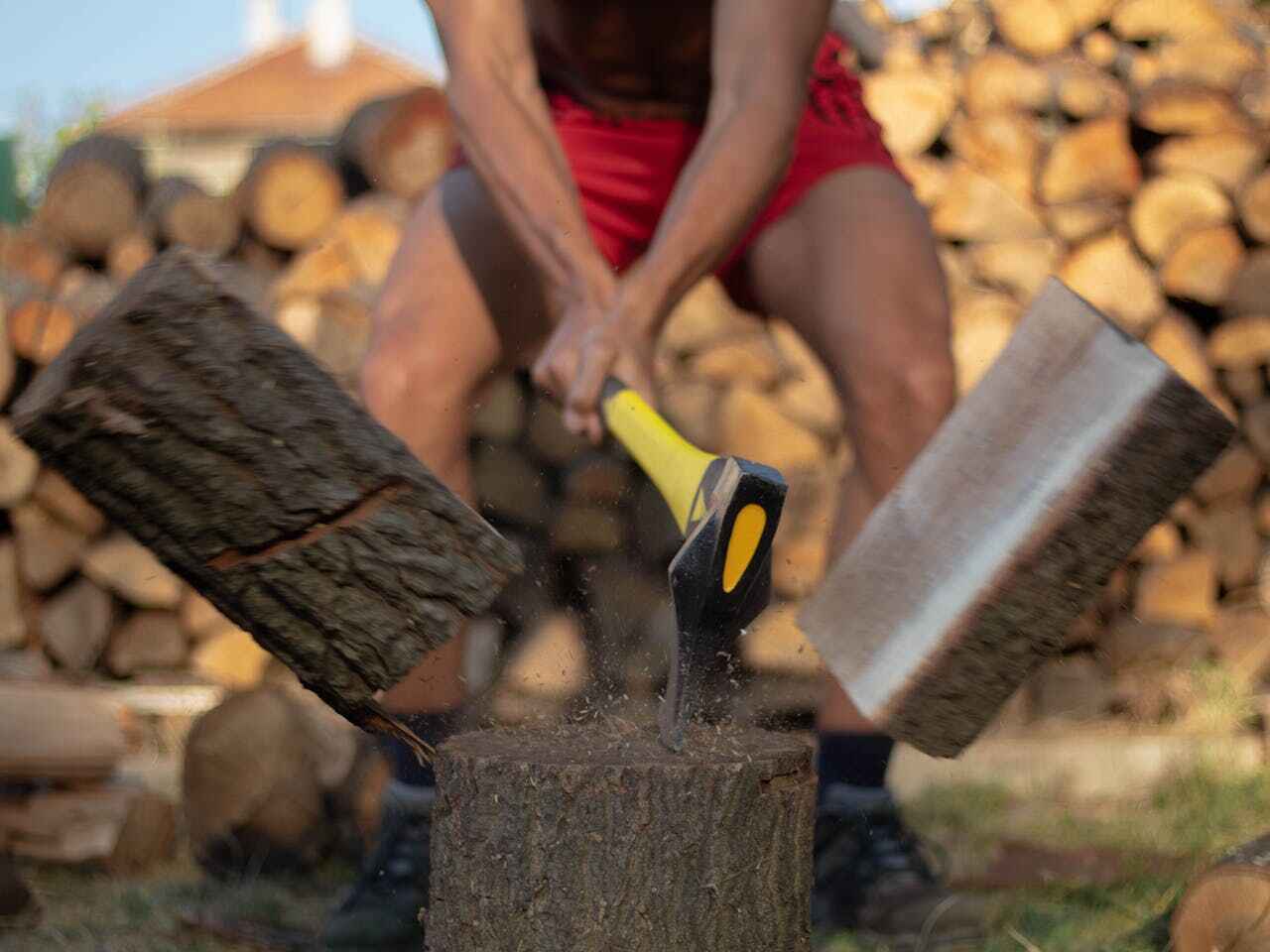 Best Tree Care Services  in USA